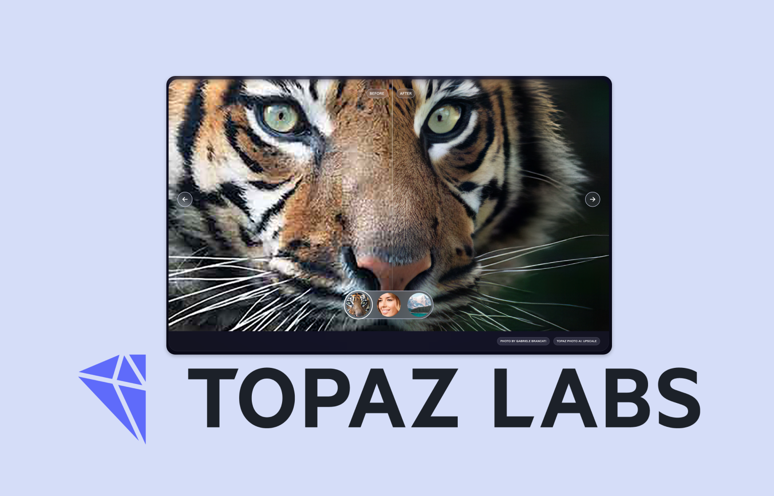 Topaz Labs - AI for image editing